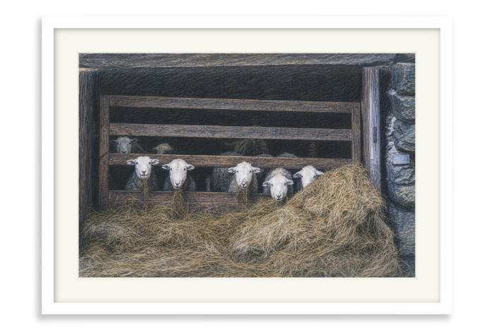 White Frame A3+ - 32.9 x 48.3 cm (+£220.00)